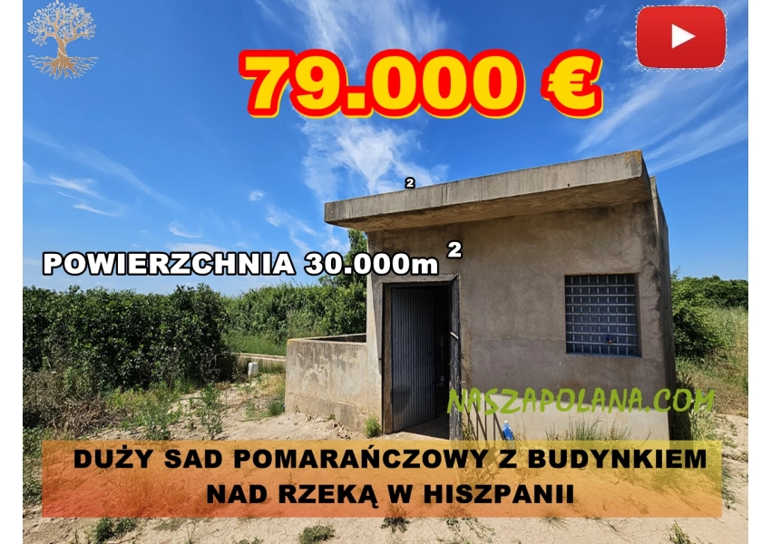 Duży sad pomarańczowy z budynkiem nad rzeką w Hiszpanii