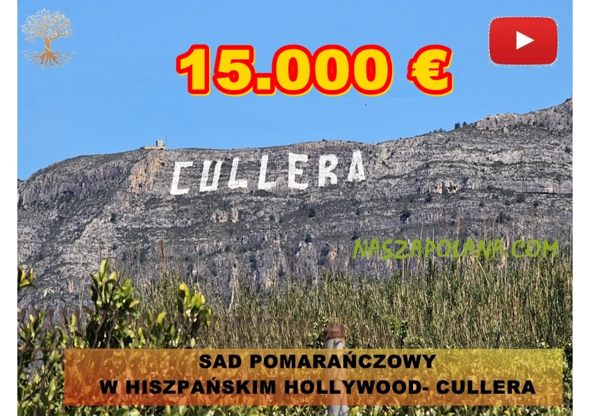 Sad pomarańczowy w hiszpańskim Hollywood, Cullera