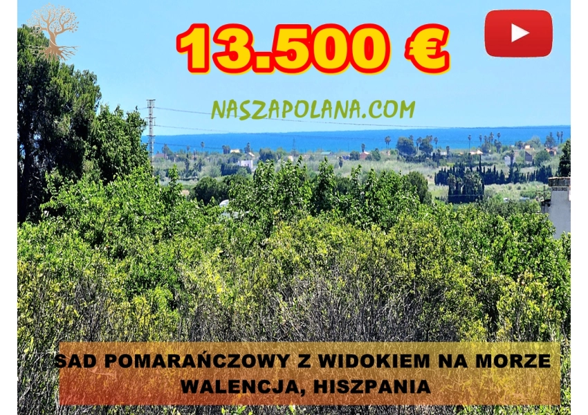 Sad pomarańczowy z widokiem na morze, Walencja