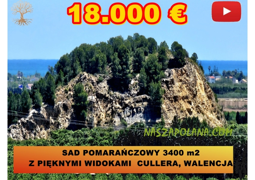 Sad pomarańczowy z pięknym widokiem w górach. Walencja
