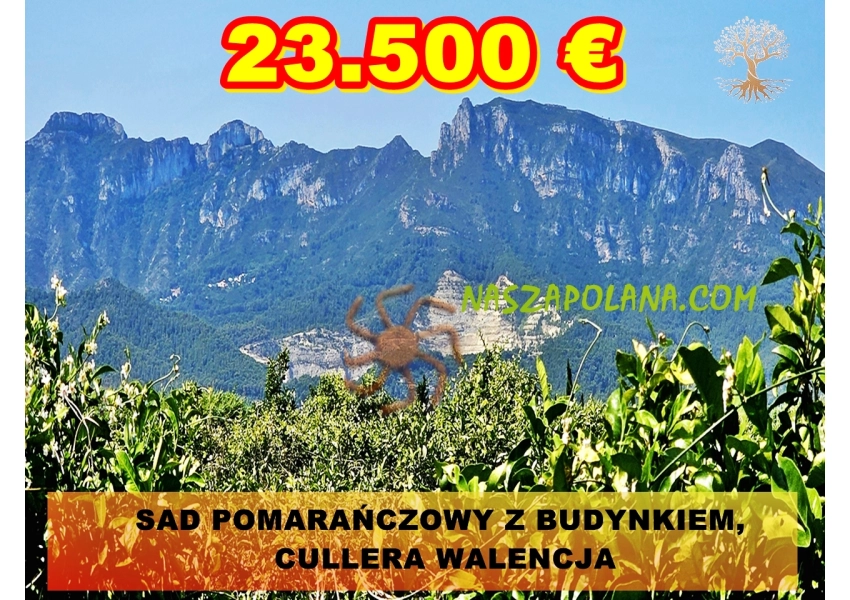 Sad pomarańczowy z budynkiem,  Cullera, Walencja