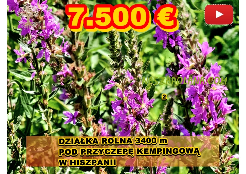Działka rolna pod kampera w Hiszpanii